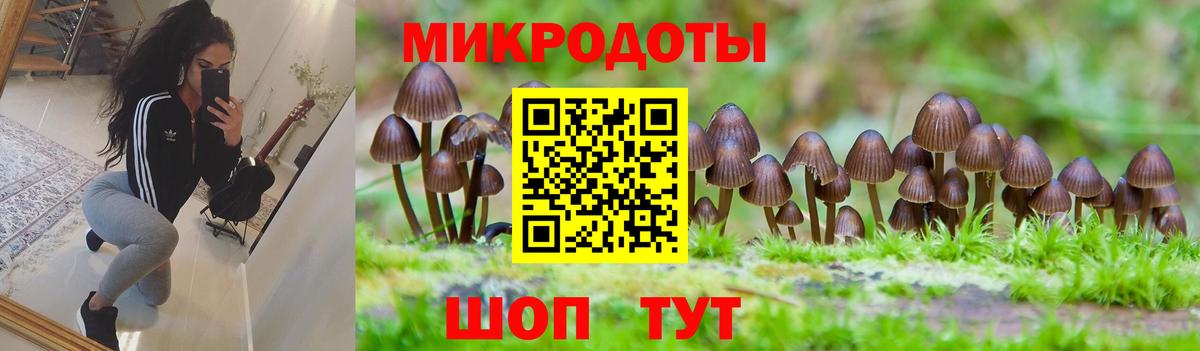 Псилоцибиновые грибы Psilocybine cubensis Спасск-Дальний